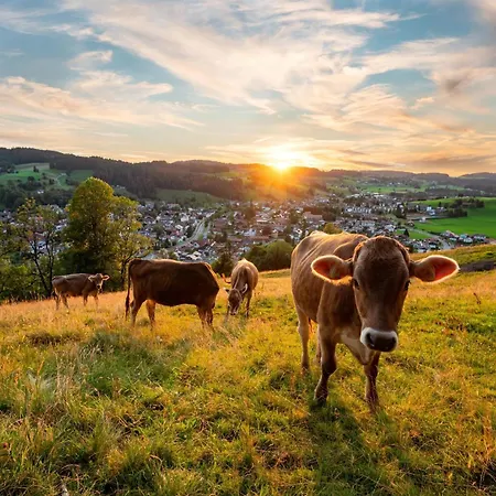 Holiday home - Staufennest Oberstaufen