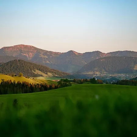 - Staufennest